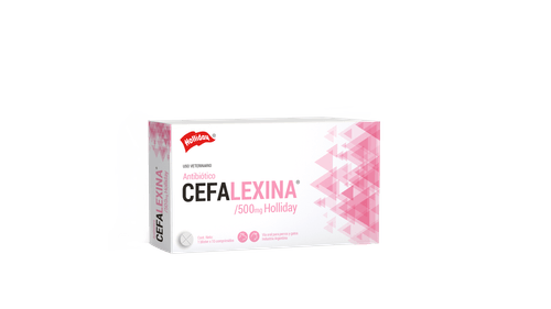 Cefalexina 500mg 10 Comprimidos