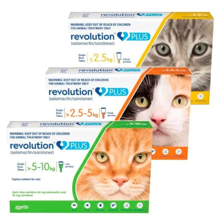 Revolution Plus